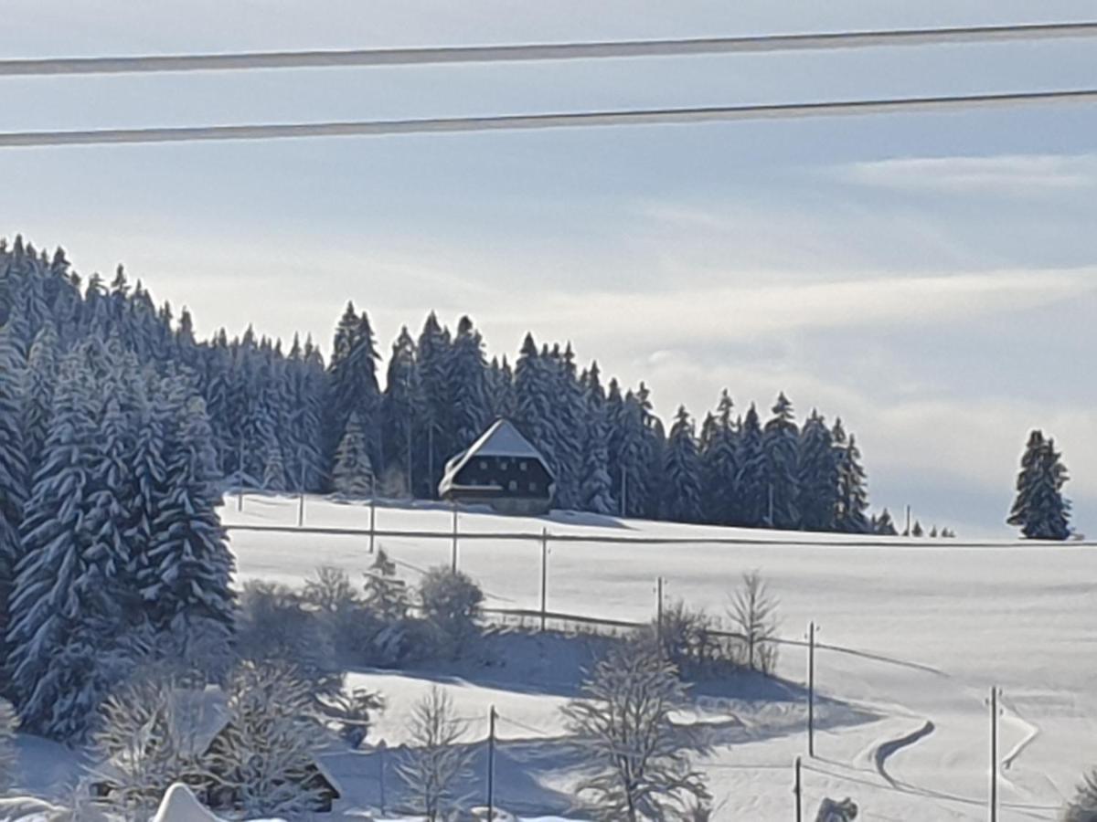 Appartement Rehblick Eisenbach  Exterior foto